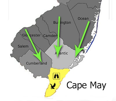 cape-may-funnell
