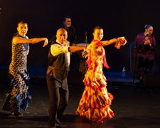 072514flamenco