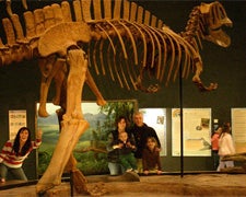 080714dino