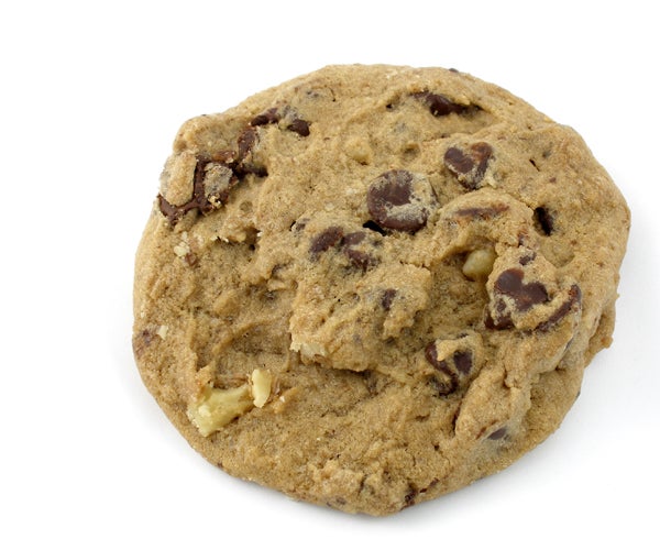 shutterstock choc-chip 600x500