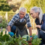 whyy.org - Nicole Leonard - Retirement decisions vary greatly among older Philadelphians, Pew report shows