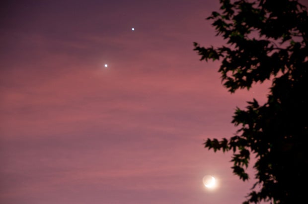 Venus, Jupiter, and the Moon