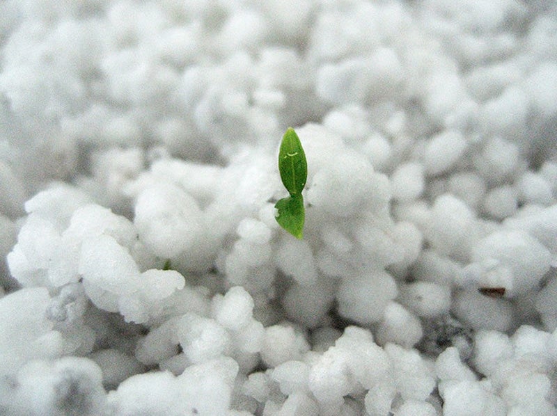 perlite