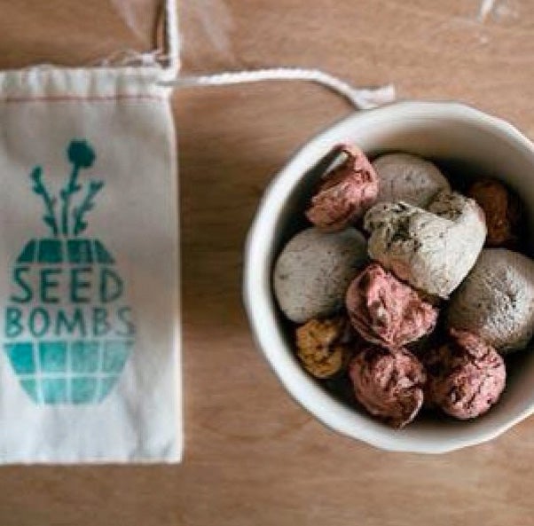 Seed bombs, seed bombing