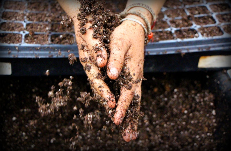soil