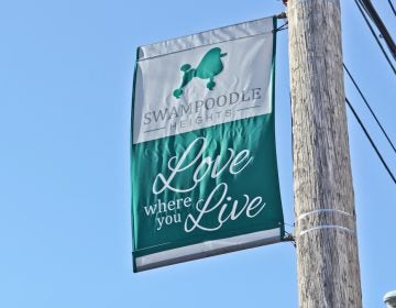 Swampoodle banner