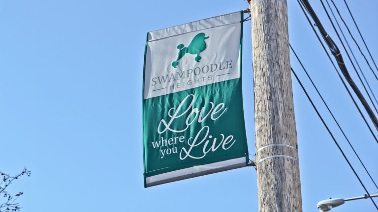 Swampoodle banner