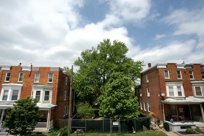 View on homes on the unit block of West Gorgas Lane. (Bastiaan Slabbers for WHYY)