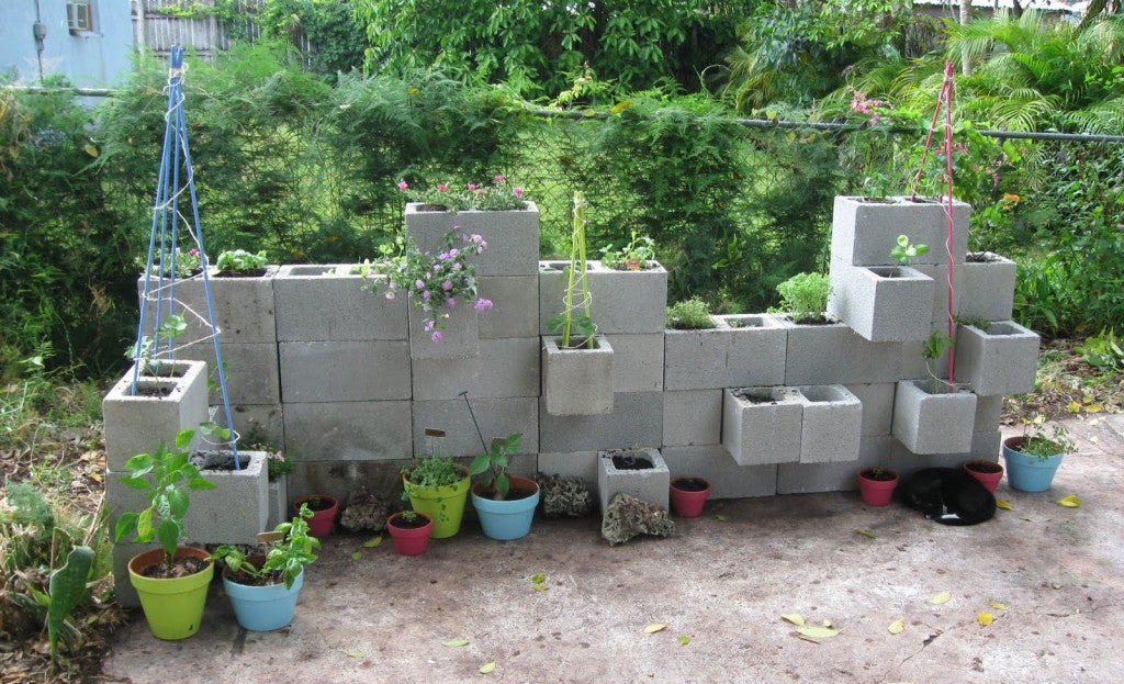 Is It Safe To Use Cinder Blocks In Raised Beds Whyy