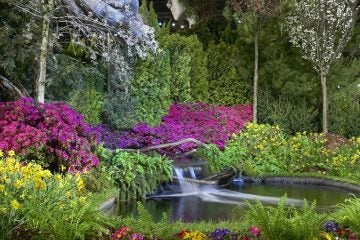  The Philadelphia Flower Show returns to the Pennsylvania Convention Center March 1-9 with the theme of “ARTiculture.” (Photo courtesy of The Philadelphia Flower Show) 