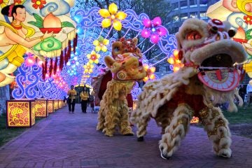 Members of the Philadelphia Suns perform a lion dance at the opening of the Chinese Lantern Festival at Franklin Square. (Emma Lee/WHYY)