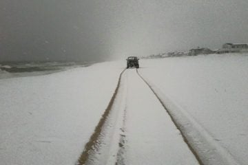 10313952_364519963734490_4952458705202424764_n On the beach in Lavallette Friday afternoon by JSHN contributor Denise Wirth.