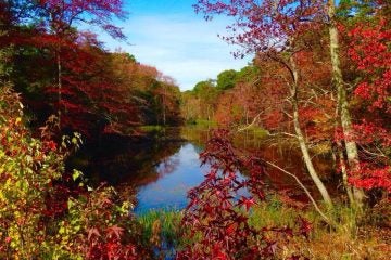  Little Egg Harbor in October 2014. (Photo: JSHN contributor Rob Libonati‎) 