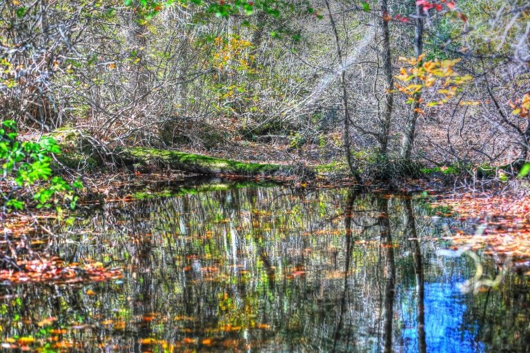  Double Trouble State Park in Berkeley on Oct. 19, 2014 by JSHN contributor Cindi Tonkovich.  