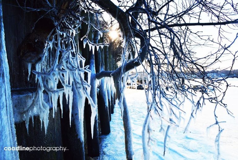  Belmar Marina in February 2015 by Coastline Photography.  