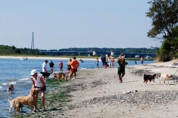  Fisherman's Cove. (Image: Borough of Manasquan) 