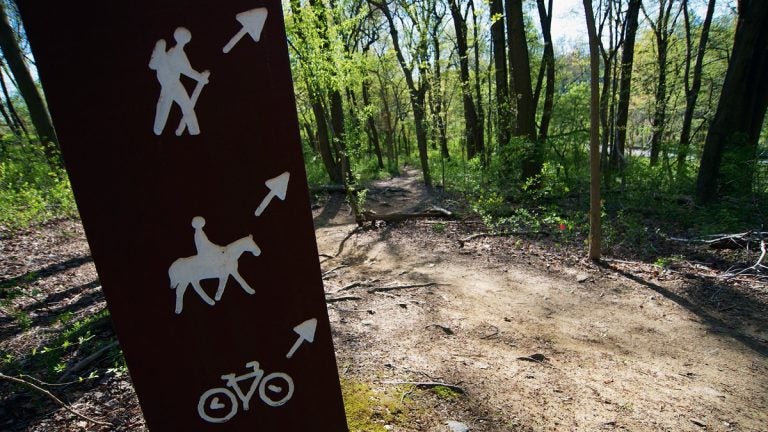  A sign pointing to the Wissahickon trails. (Bas Slabbers/for NewsWorks, file) 