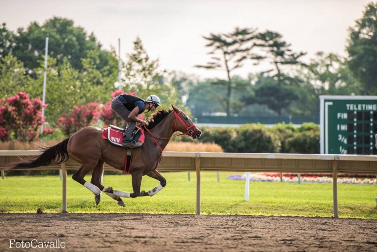  A practice run at Monmouth Park on Thursday by FotoCavallo. 