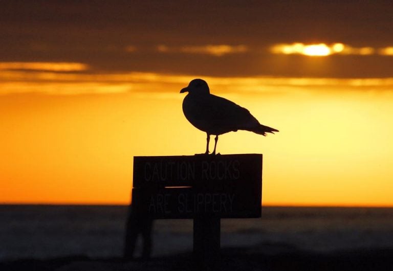  Thanksgiving Day sunrise at Barnegat Light by JSHN contributor Lance Schnatterly‎. 