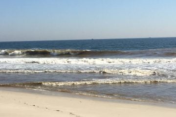 (Photo: Sara Maraliese via COBRA: Citizens in Opposition to Beach Restrictive Access)