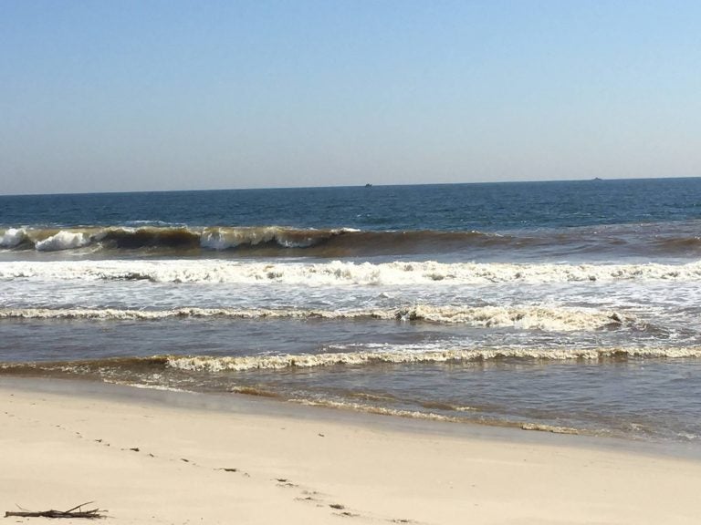 (Photo: Sara Maraliese via COBRA: Citizens in Opposition to Beach Restrictive Access)