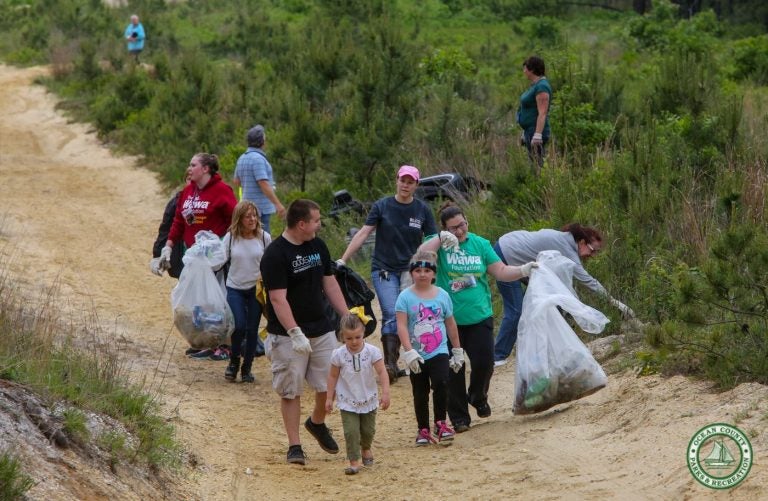 Team Wawa volunteers sweep through Berkeley Township during last week's Barnegat Bay Blitz. (Photo: Ocean County Parks & Recreation)