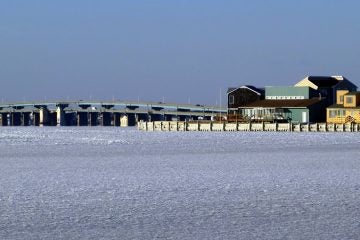 1493266_596481523738907_108164740_n