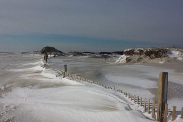  Island Beach State Park on Sunday. (Photo: Bonnie Delaney via Jersey Shore Hurricane News) 