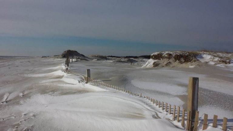  Island Beach State Park on Sunday. (Photo: Bonnie Delaney via Jersey Shore Hurricane News) 