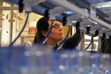 Angela Padaletti of the Partnership for the Delaware Estuary checks on rows of tanks that will house baby mussels at the Philadelphia Water Works. (Emma Lee/WHYY)