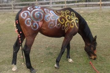 20130213_143224 A scene from last year's Valentine's Day event at Northwestern Stables. (Alaina Mabaso/for NewsWorks, file)