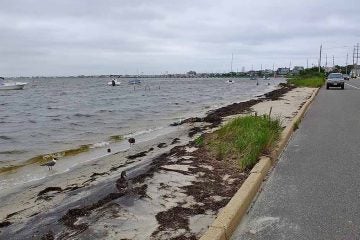 Barnegat Bay on a normal day is almost at the street level in Seaside Heights, NJ. (Alan Tu/WHYY, file) 