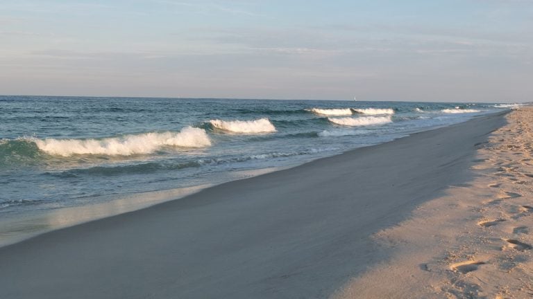  File photo of Island Beach State Park (Alan Tu/WHYY) 