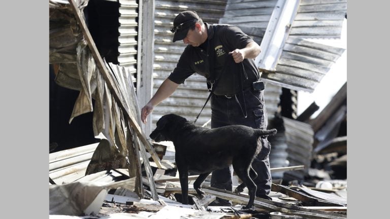  An investigator works with a dog at the scene of the boardwalk fire. (AP Photo/Julio Cortez) 