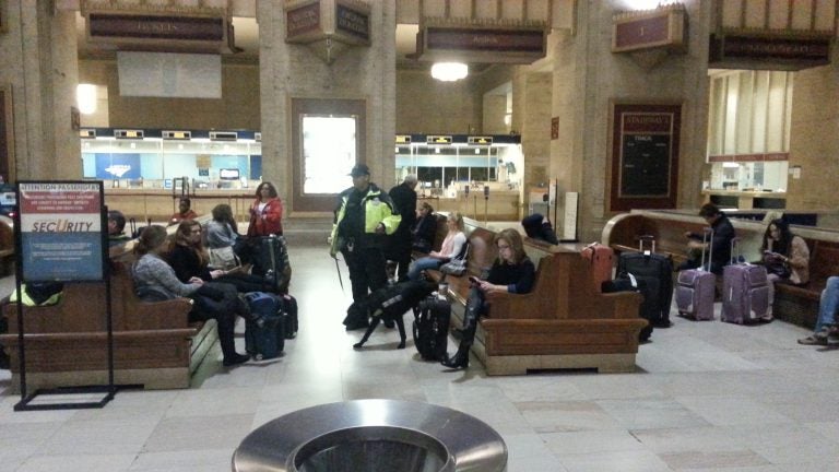  A security dog checks travelers at 30th street station in Philadelphia (Tom MacDonald/for NewsWorks) 