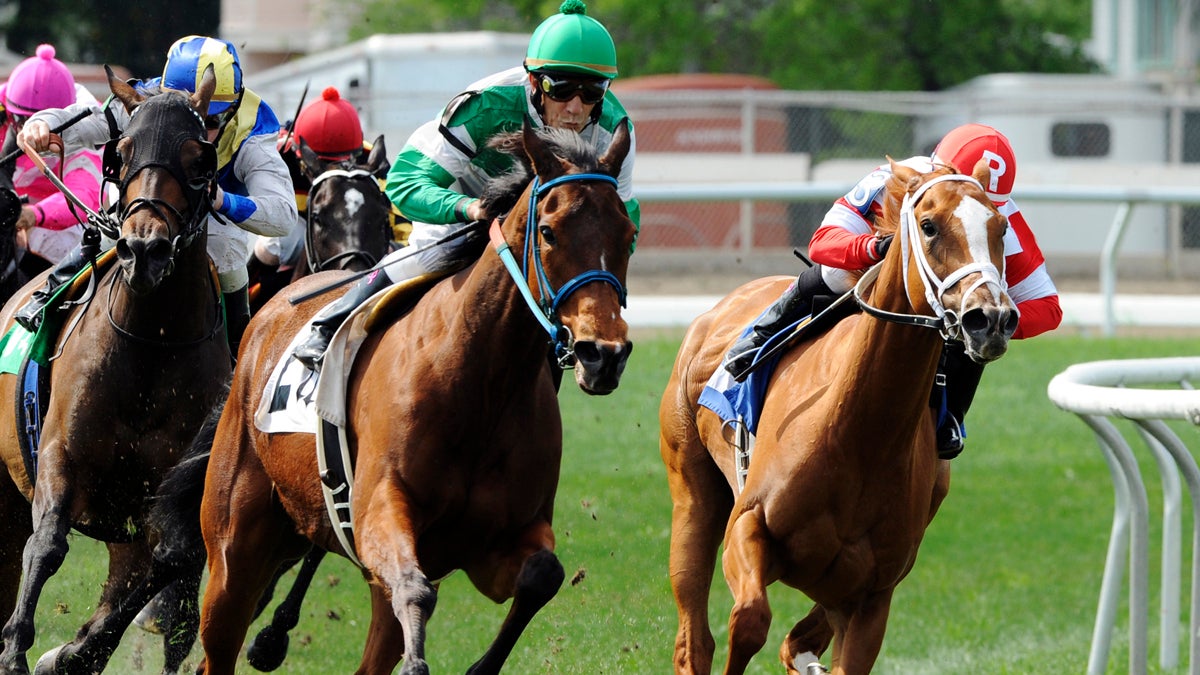 School advocates call for end to Pa. horse-racing subsidy - WHYY