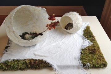  Joy Kreves’ “Brain Birth” incorporates handmade paper, ceramic, moss and dried plant material. (Ilene Dube/for NewsWorks) 