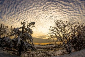  Sandy Hook yesterday before the sleet and ice moved in overnight. (Photo by Blur Revision Media Design via JSHN) 