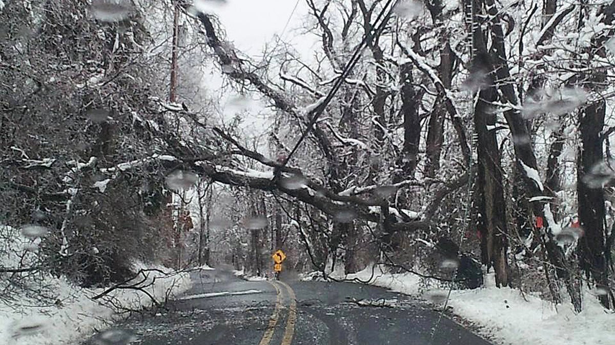 N.J. utility company seeks rate increase for storm damage costs - WHYY