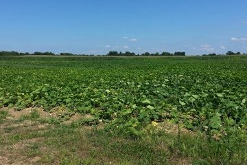  New Jersey voters have approved every open space ballot question since 1961. (Alan Tu/WHYY) 