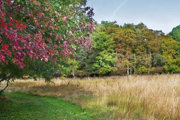 20140805-nj-open-space-1200 (Shutterstock)