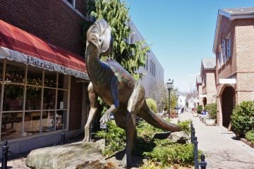  Haddonfield is where the world's first nearly-complete skeleton of a dinosaur was found in 1858. (Shutterstock) 