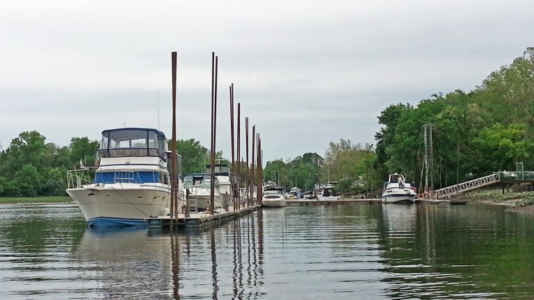  RiverFest will be held next to the Yacht Club where Crosswicks Creek meets the Delaware River.  (Alan Tu/WHYY) 