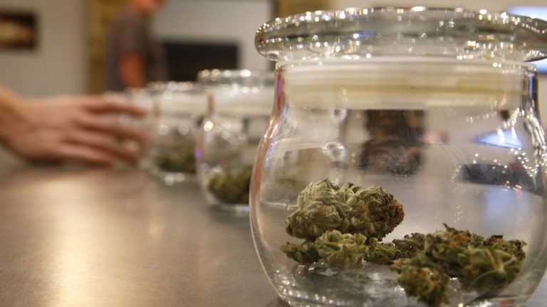  Marijuana for sale is kept in jars at the Colorado Harvest Company. (AP Photo/Brennan Linsley) 