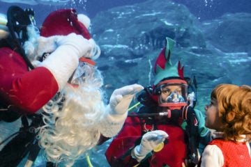  Santa appears inside the aquarium. (Bas Slabbers/for NewsWorks, file) 