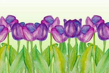 Template with spring flowers with watercolor texture. Spring background with purple tulips. Spring sale. Poster with spring flowers. Vector floral illustration. Spring season.