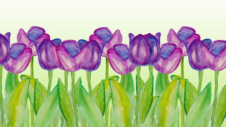 Template with spring flowers with watercolor texture. Spring background with purple tulips. Spring sale. Poster with spring flowers. Vector floral illustration. Spring season.