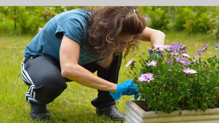 Fertilizers can become harmful to the environment if overused. (Stock photo)