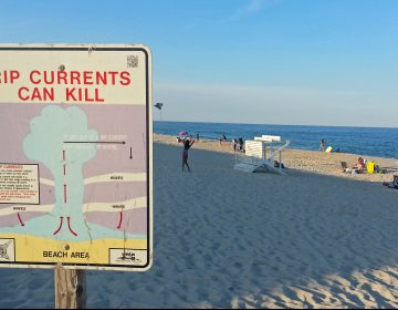 A sign in Cape May instructs swimmers caught in a rip current to swim parallel to the beach to escape. (Alan Tu/WHYY)