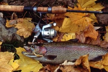 (Photo from the N.J. Division of Fish and Wildlife)